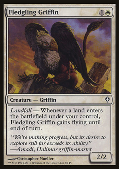 Fledgling Griffin